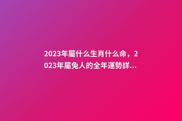 2023年屬什么生肖什么命，2023年屬兔人的全年運勢詳解 猴年2023年運勢及運程-第1張-觀點-玄機派